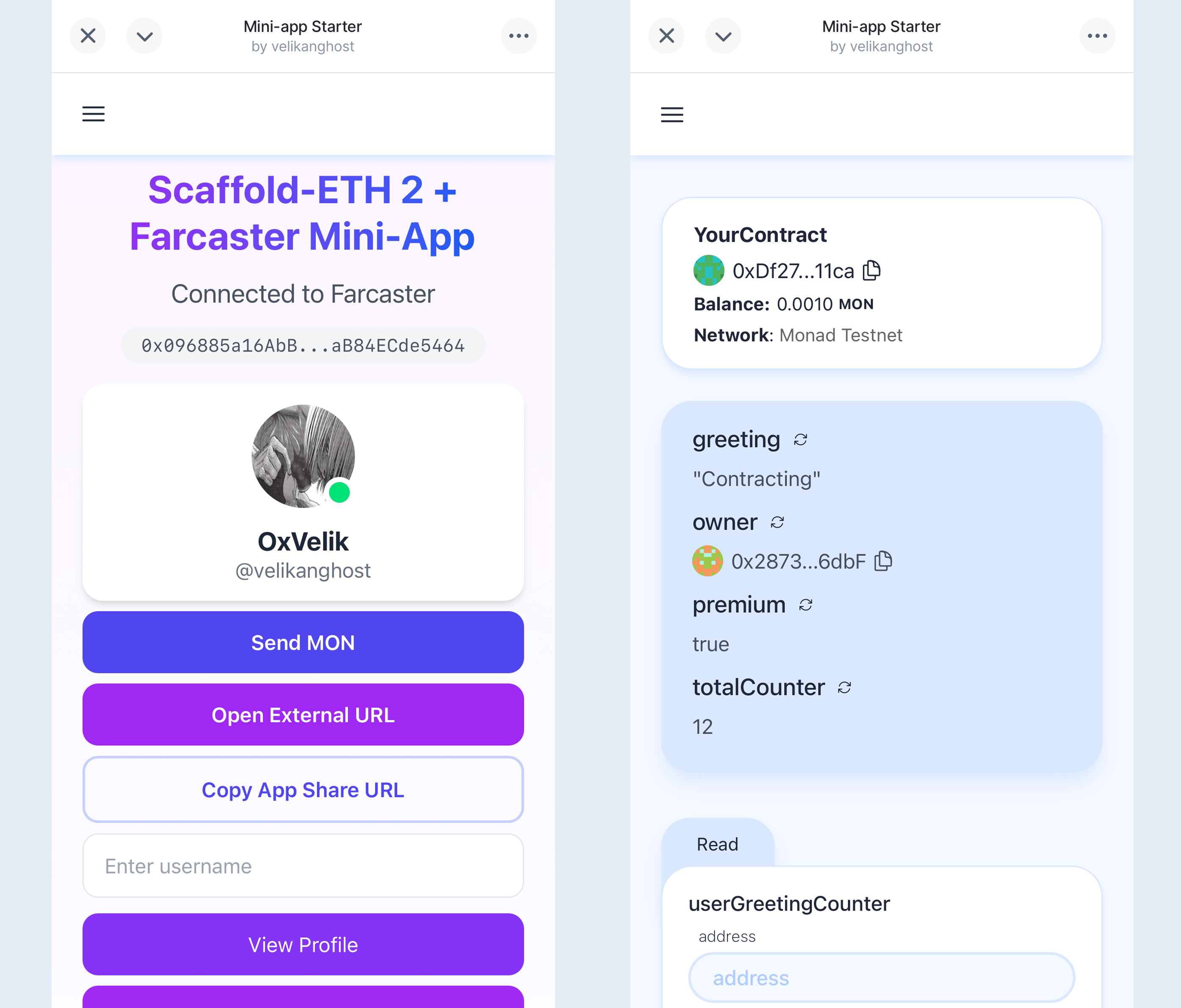 Farcaster Mini App Starter Kit